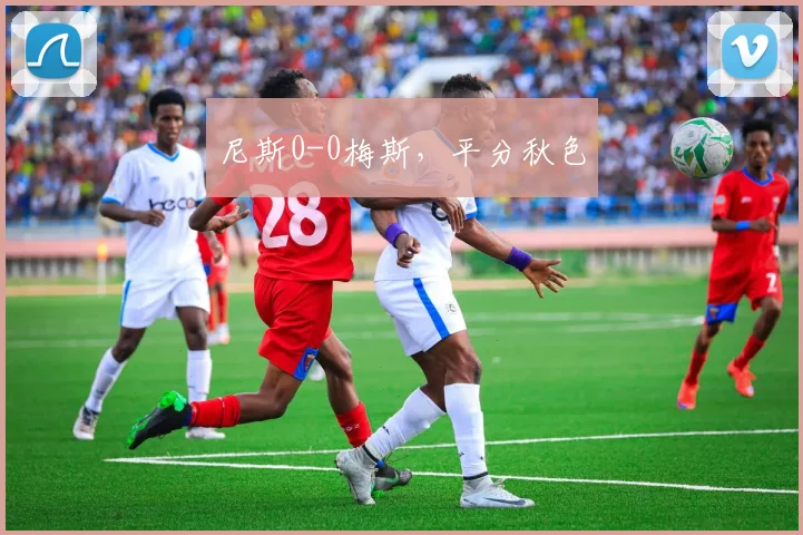 尼斯0-0梅斯，平分秋色